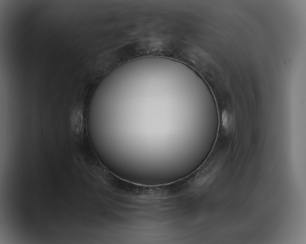 X0000089831203200706281205