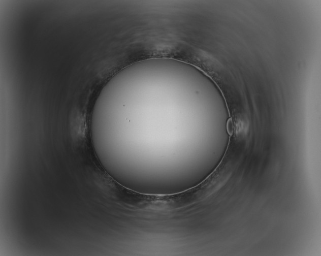 X0000089831204200706281205