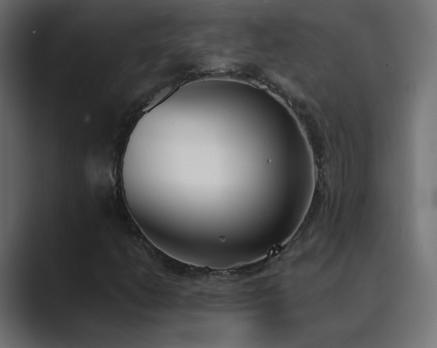 X0000089831206200706281205
