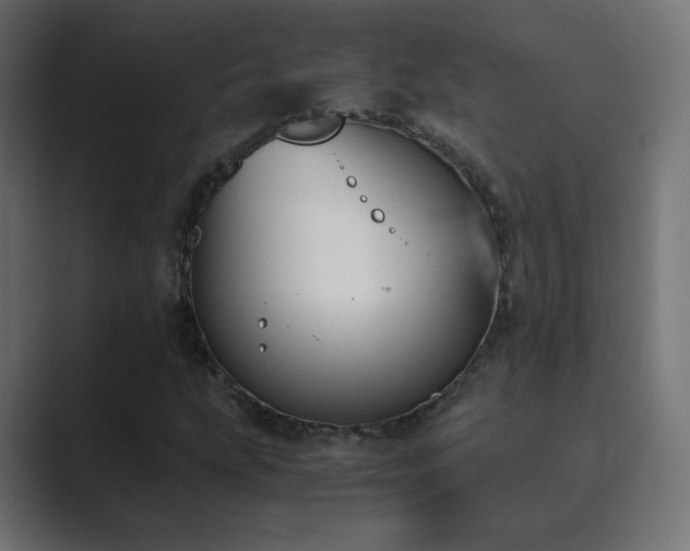 X0000089831207200706281205