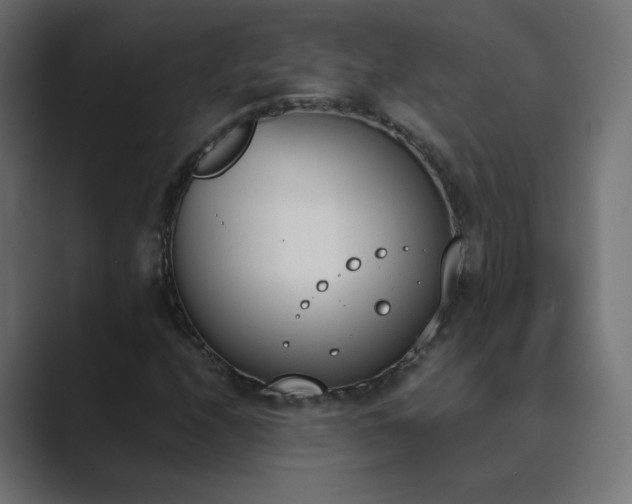X0000089831208200706281205