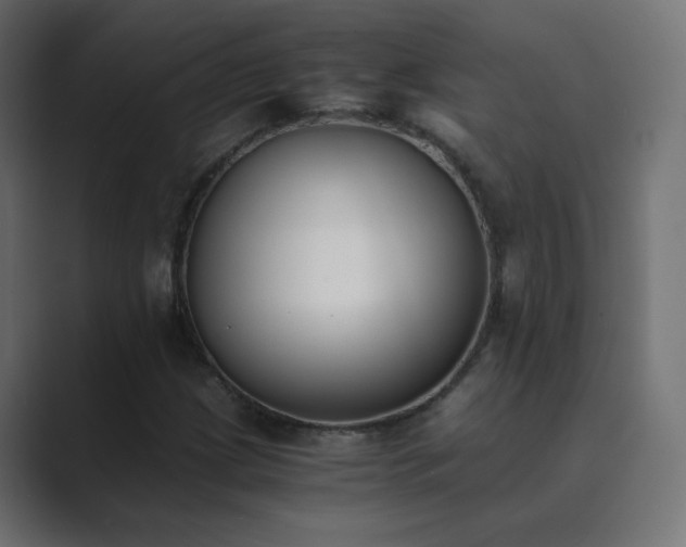 X0000089831209200706281205