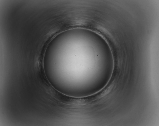 X0000089831210200706281205