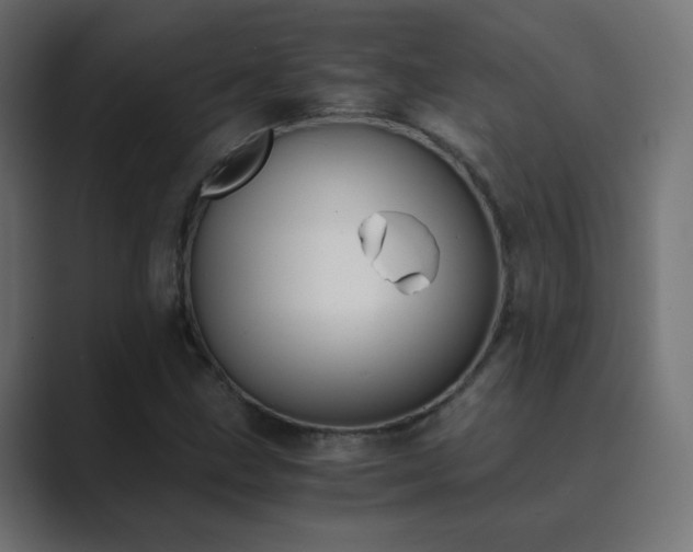 X0000089831211200706281205