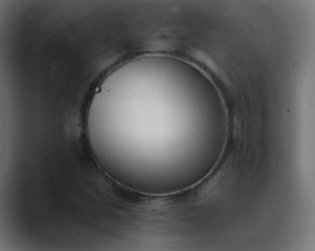X0000089831213200706281205