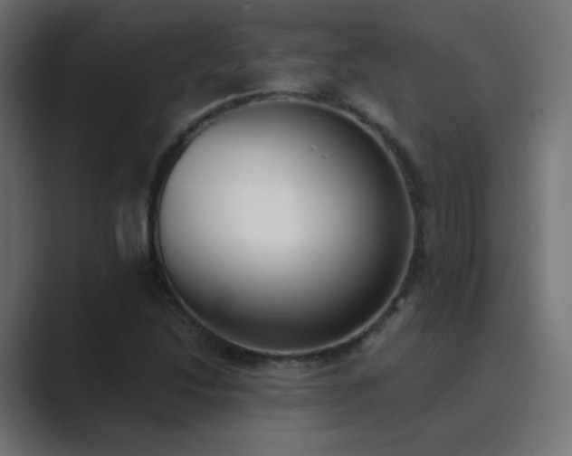 X0000089831214200706281205