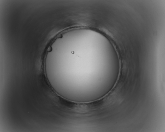 X0000089831215200706281205