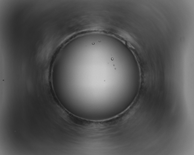 X0000089831216200706281205