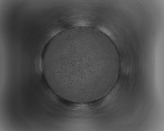 X0000089831219200706281205