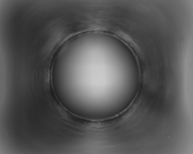 X0000089831220200706281205