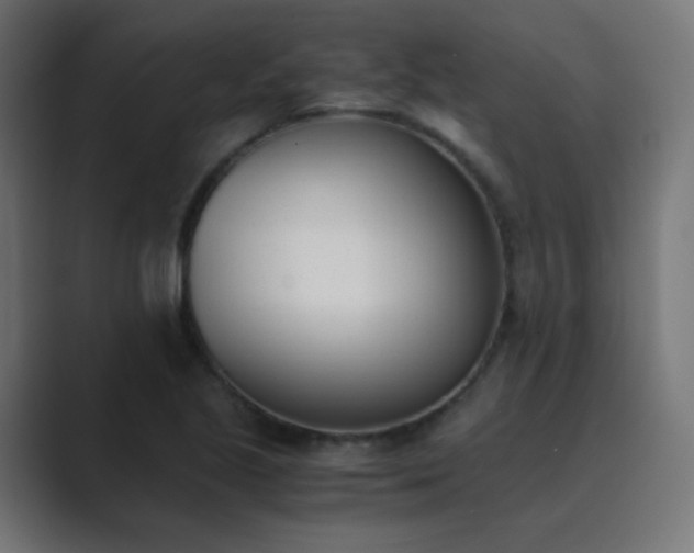 X0000089831221200706281205