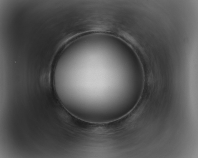 X0000089831222200706281205