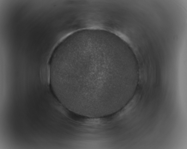 X0000089831223200706281205