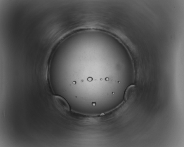 X0000089831224200706281206