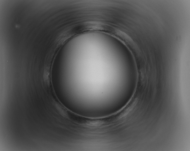 X0000089831225200706281206