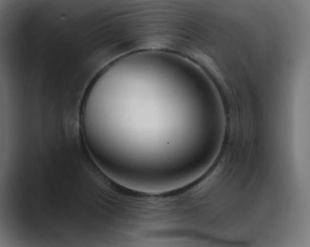 X0000089831226200706281206