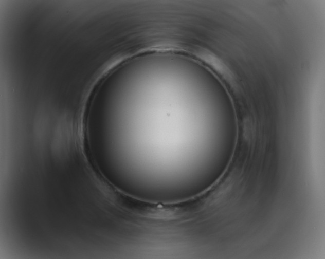 X0000089831229200706281206
