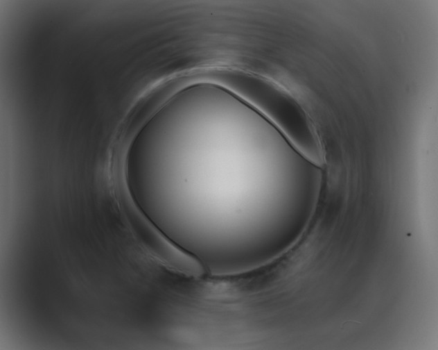 X0000089831230200706281206