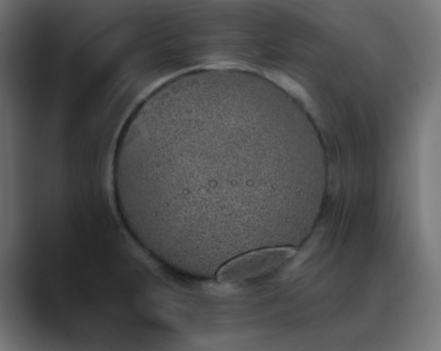 X0000089831231200706281206