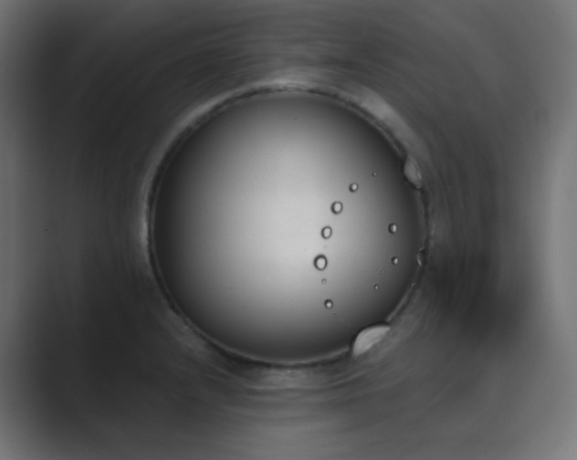 X0000089831232200706281206