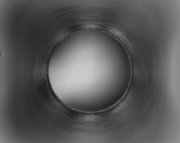 X0000089831233200706281206