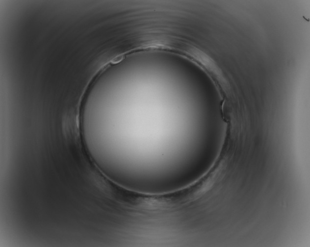 X0000089831234200706281206