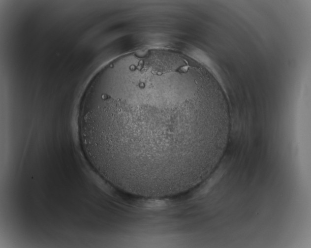X0000089831235200706281206