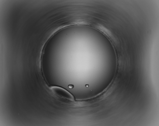 X0000089831236200706281206
