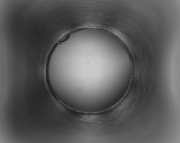 X0000089831237200706281206