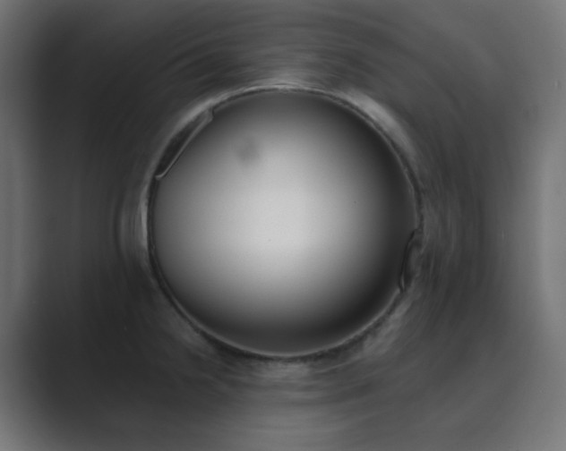 X0000089831238200706281206
