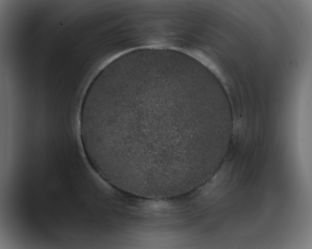 X0000089831239200706281206