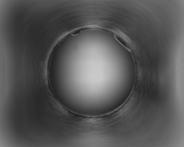 X0000089831240200706281206