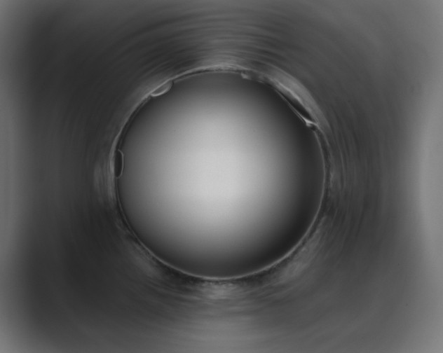 X0000089831242200706281206