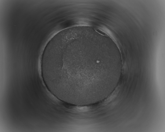 X0000089831243200706281206