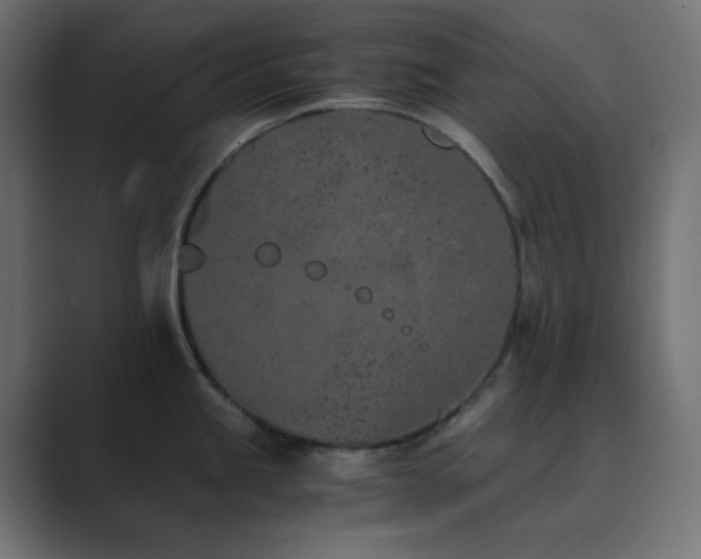 X0000089831245200706281206