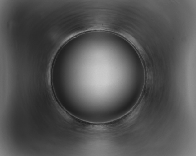 X0000089831246200706281206