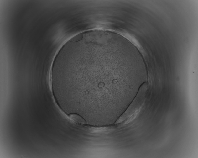 X0000089831247200706281206