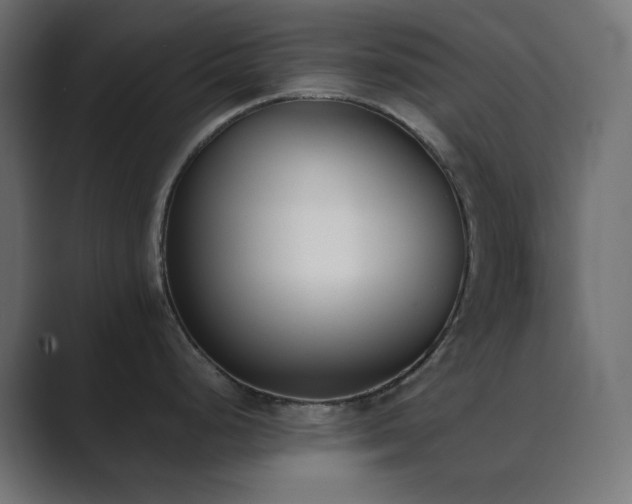 X0000089831248200706281206