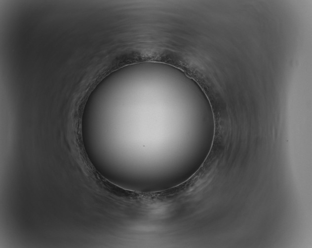 X0000089831249200706281205