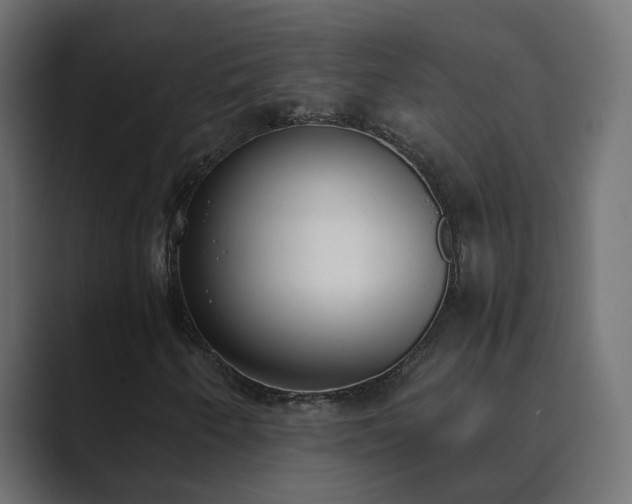X0000089831250200706281205