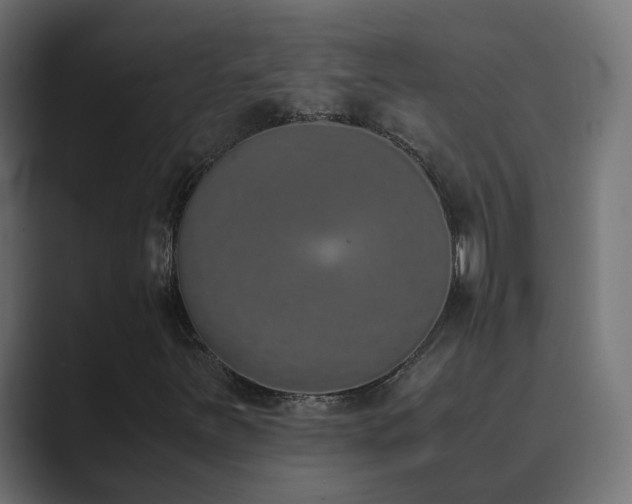 X0000089831251200706281205