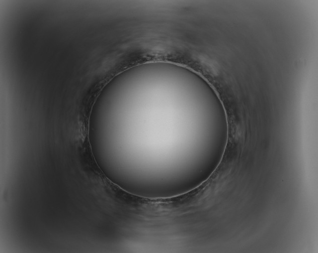 X0000089831253200706281205