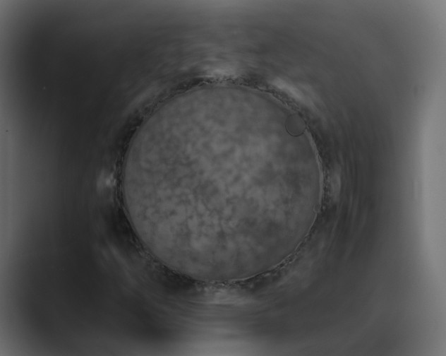 X0000089831254200706281205