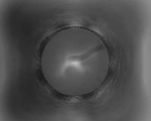 X0000089831255200706281205