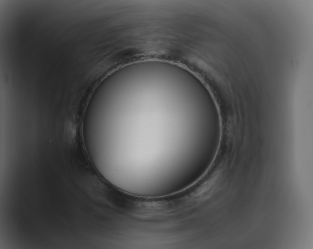 X0000089831257200706281205