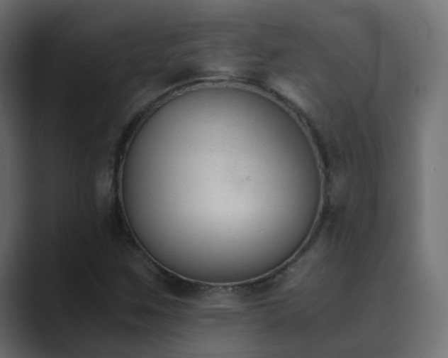 X0000089831259200706281205
