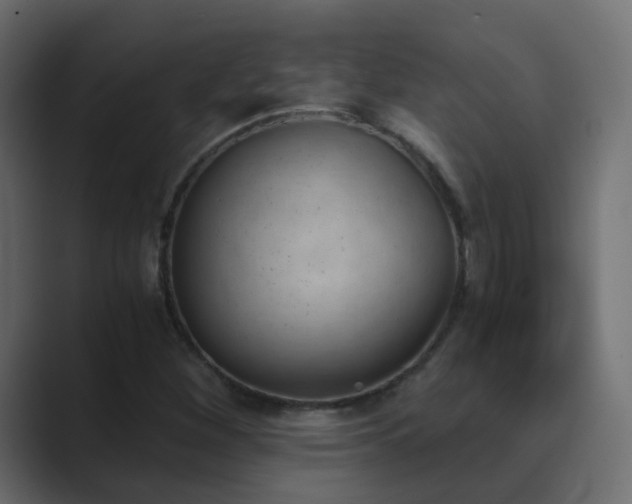 X0000089831260200706281205