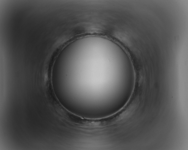 X0000089831261200706281205