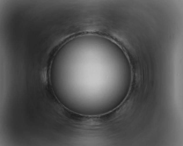 X0000089831262200706281205