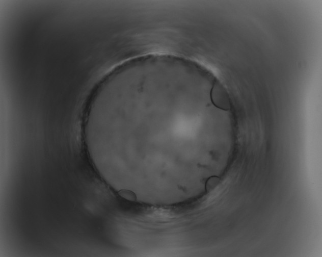 X0000089831263200706281205